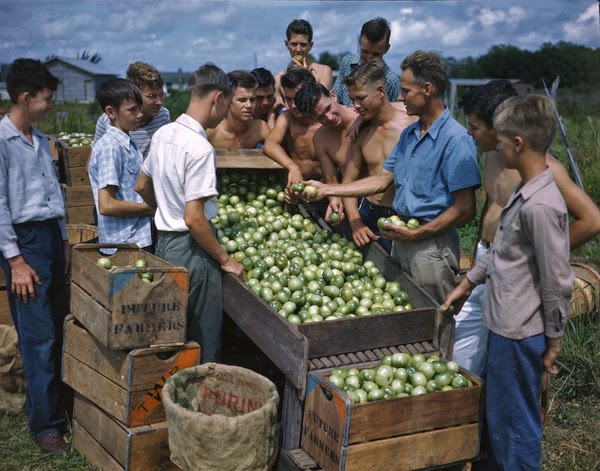 Wonderful Color Photos of Daily Life in Florida in the 1940s_Ha